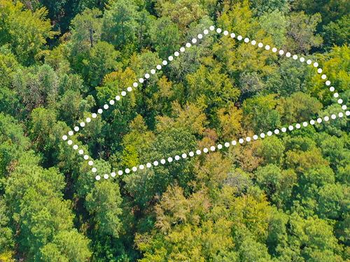 Wooded Hideaway Near Kerr Lake : Henderson : Vance County : North Carolina