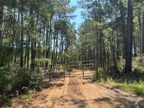 52.84 Acres On Charlie Rhodus Rd : Magnolia : Pike County : Mississippi