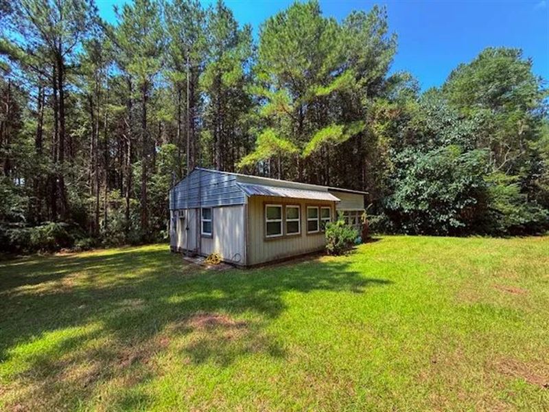 Cabin and 2.89 Acres / 1029 Emerald : Magnolia : Pike County : Mississippi