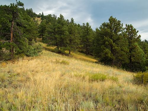 75 Sugarloaf : Boulder : Colorado