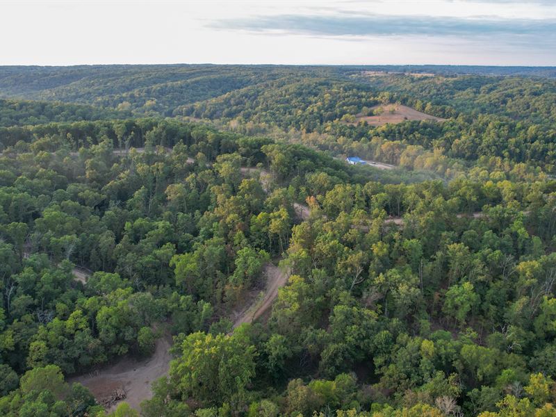 Sycamore Bottoms 57 : Galena : Stone County : Missouri