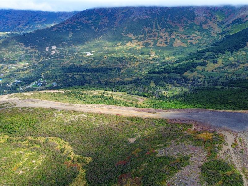 Paine Free Paradise : Anchorage : Anchorage Borough : Alaska