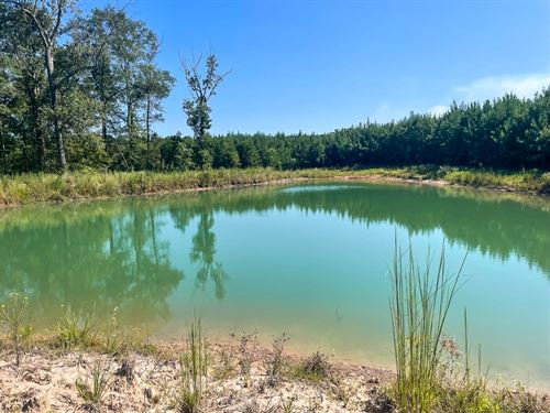 24 Acres, T-1, Union Springs Road : Corrigan : Polk County : Texas