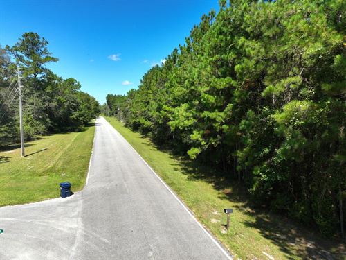 3.18 Acres Old Jefferson Hwy, Woodb : Woodbine : Camden County : Georgia