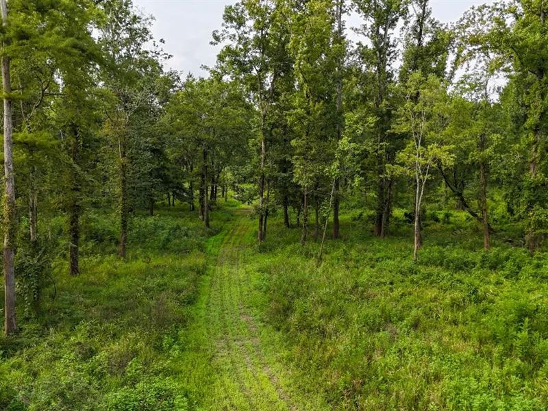 Lorman, MS Hunting Property Near Th : Lorman : Jefferson County : Mississippi