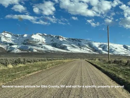 Low Taxes, Big Potential : Osino : Elko County : Nevada