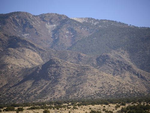 5+ Acreage Great for Ranching : Belen : Valencia County : New Mexico