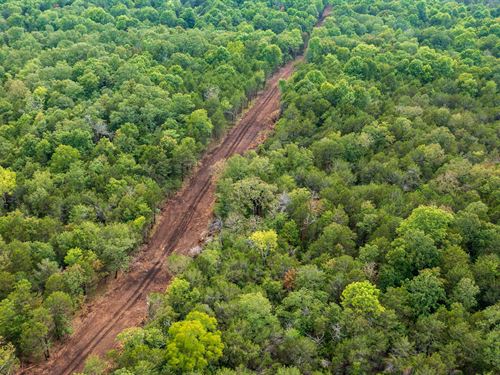 $999 Down Land Taney County : Protem : Taney County : Missouri