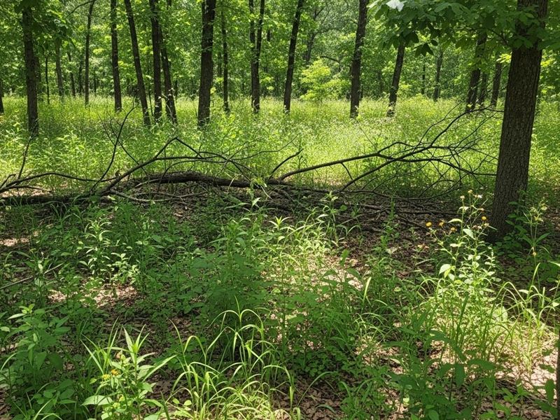Bryan County Ok, 55.9 Acres : Colbert : Bryan County : Oklahoma