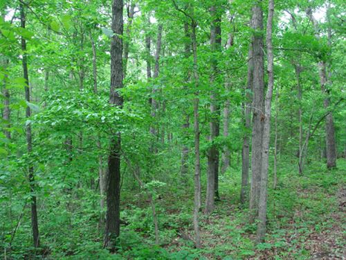 Near Electricity, $999 Down : Houston : Texas County : Missouri