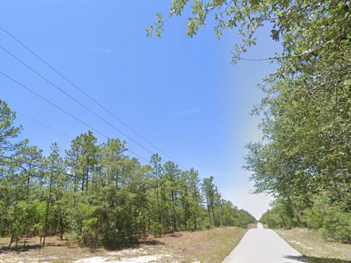 Take Advantage of Owner Financing : Dunnellon : Marion County : Florida