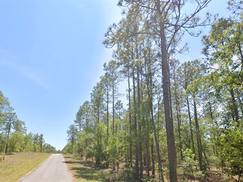 Discover Dunnellon Living : Dunnellon : Marion County : Florida