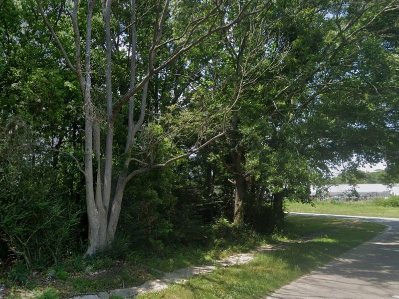 Mobile AL 0.13 Acre City Lot : Mobile : Mobile County : Alabama