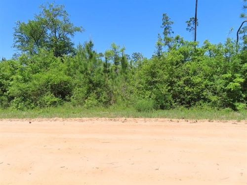 You've Stumbled Upon The Gem : Marianna : Jackson County : Florida