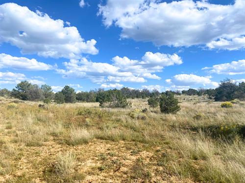 Pinehill New Mexico Wilderness : Pinehill : Cibola County : New Mexico
