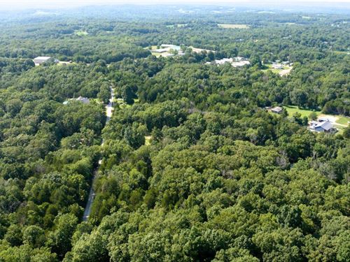 Family Life in The Woods : Catawissa : Franklin County : Missouri