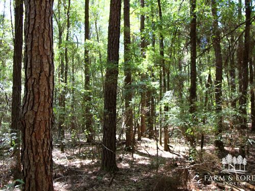 79.36 Ac Tenmile Creek Tract : Bonifay : Holmes County : Florida