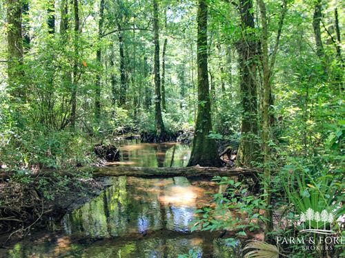 79.36 Ac Tenmile Creek Tract : Bonifay : Holmes County : Florida