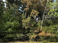 Lot For Sale on Brownwood Court, Po : Poplar Bluff : Butler County : Missouri