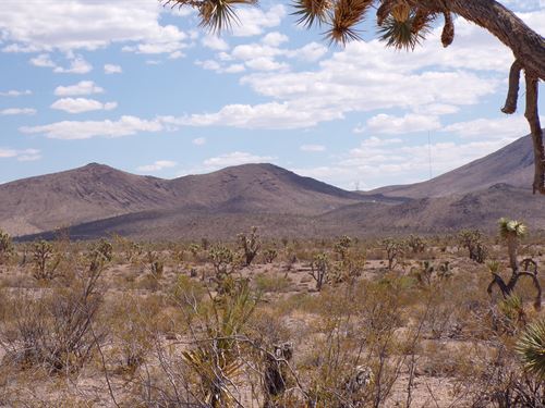 Family Memories Begin Here : Willow Beach : Mohave County : Arizona