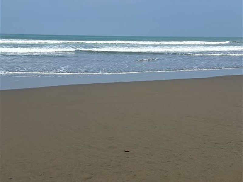 Oceanfront Lot Quepos : Quepos : Costa Rica