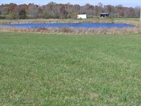 Farm, Pond, Cabin, Barn : Pikeville : Bledsoe County : Tennessee