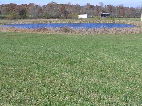 Farm, Pond, Cabin, Barn : Pikeville : Bledsoe County : Tennessee