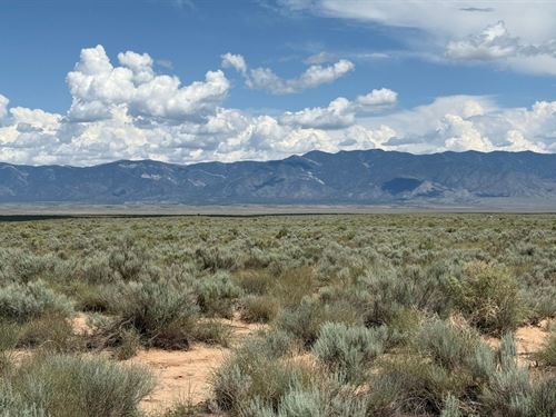 1 Acre in Los Lunas, NM : Los Lunas : Valencia County : New Mexico