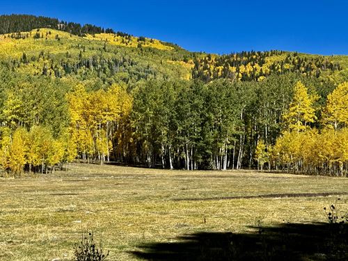 Aspen Mountain Ranch : Mancos : Montezuma County : Colorado
