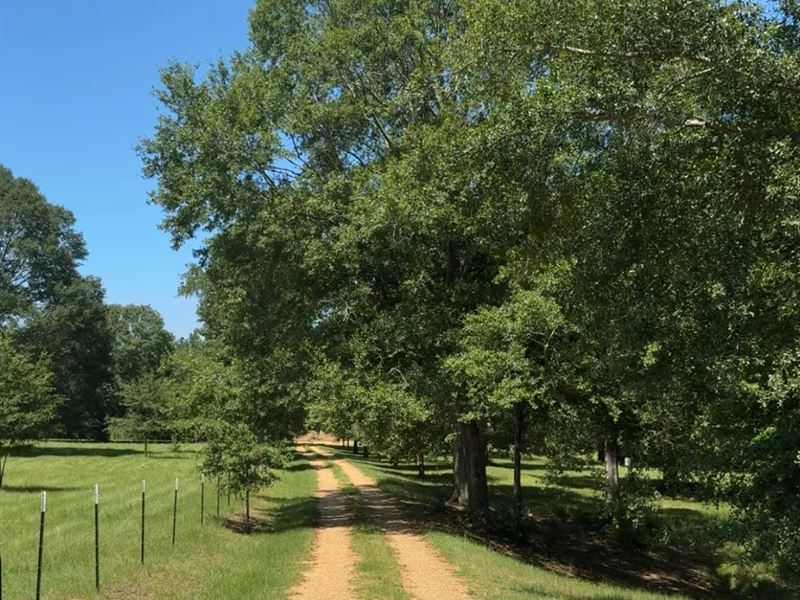18.32 Acres with A Farmhouse in Cop : Hazlehurst : Copiah County : Mississippi