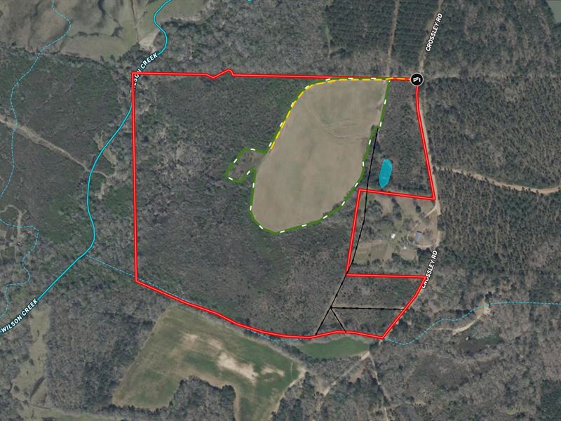 70 Acres in Lamar County, AL : Vernon : Lamar County : Alabama