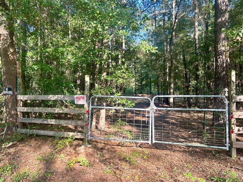 24 Acres in Wilcox County, GA : Pineview : Wilcox County : Georgia