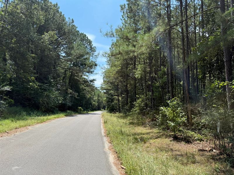 55 Acres in Lawrence County, MS : Silver Creek : Lawrence County : Mississippi