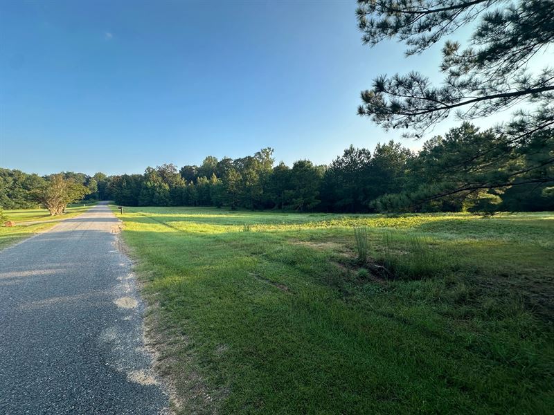 11.14 Acres in Lincoln County, MS : Bogue Chitto : Lincoln County : Mississippi