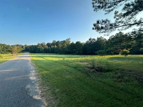 11.14 Acres In Lincoln County, MS : Bogue Chitto : Lincoln County : Mississippi