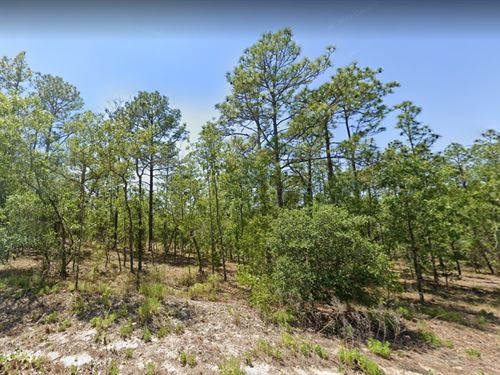 $299 Down Unlocks Dunnellon Bliss : Dunnellon : Marion County : Florida