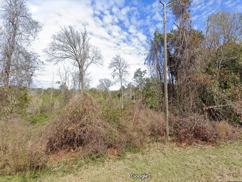 No HOA Freedom Lot $249 Down : Interlachen : Putnam County : Florida