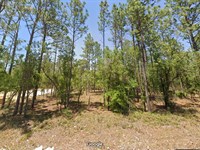 $299 Down, Dunnellon Paradise : Dunnellon : Marion County : Florida