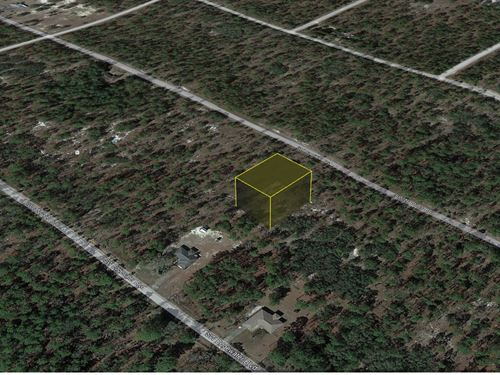 Beat The Heat with $99 Land Sale : Dunnellon : Marion County : Florida