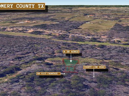 .3 Acre in Willis, $350 a Month : Willis : Montgomery County : Texas