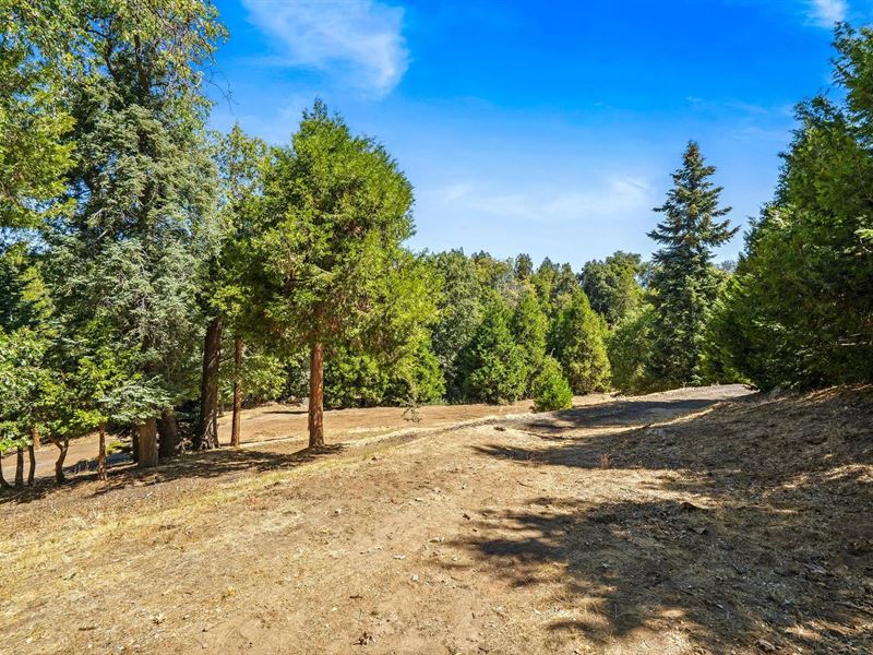 Palomar Mountain Hideaway : Palomar Mountain : San Diego County : California