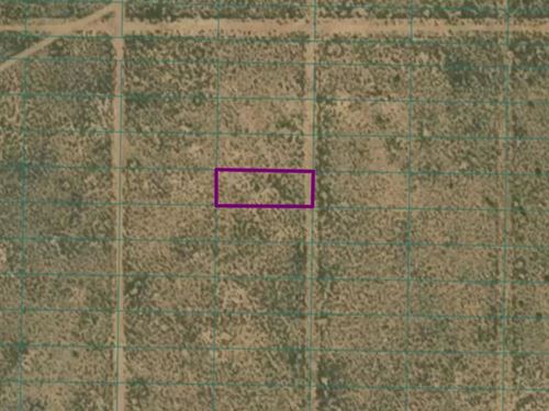 Picturesque New Mexico Land Power : Tres Piedras : Taos County : New Mexico