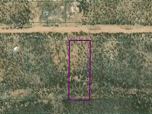 Stupendous New Mexico Lot Power : Tres Piedras : Taos County : New Mexico