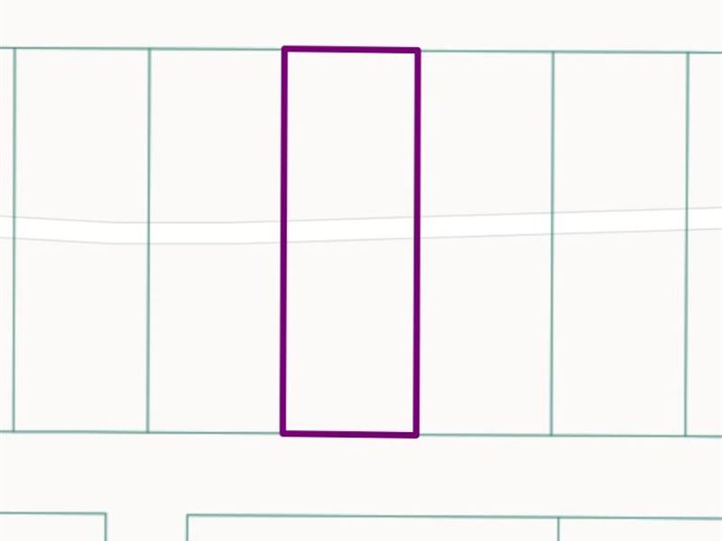 Magnificent Quarter Acre Lot : Tres Piedras : Taos County : New Mexico