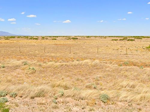 Peaceful Lot for a Weekend Getaway : Deming : Luna County : New Mexico