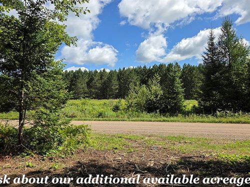 Minutes From Crane Lake & Trails : Phillips : Price County : Wisconsin