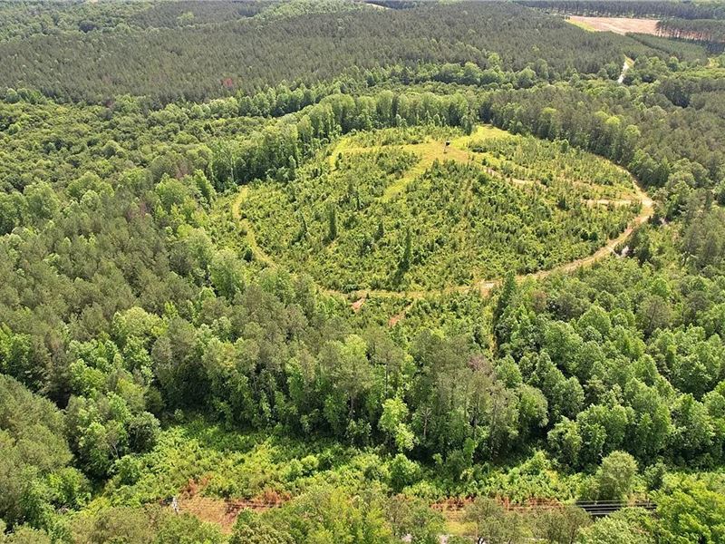 Lot 6 Simms School Rd : Liberty : Pickens County : South Carolina