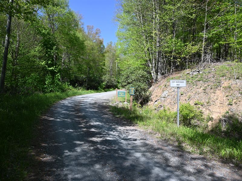 Absolutely Beautiful Land : Todd : Ashe County : North Carolina