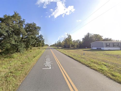 .23 Acres Of Freedom : Interlachen : Putnam County : Florida