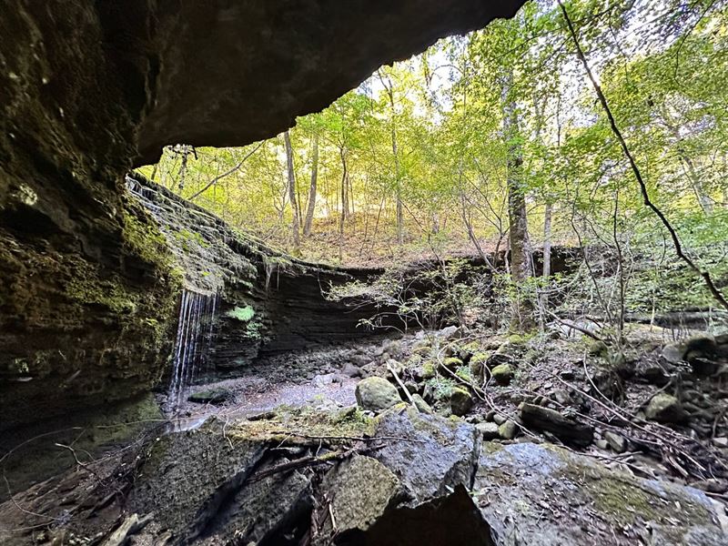 Secluded with Endless Possibilities : Clinton : Van Buren County : Arkansas